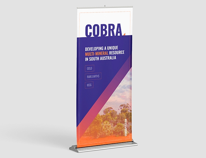 Cobra Resources