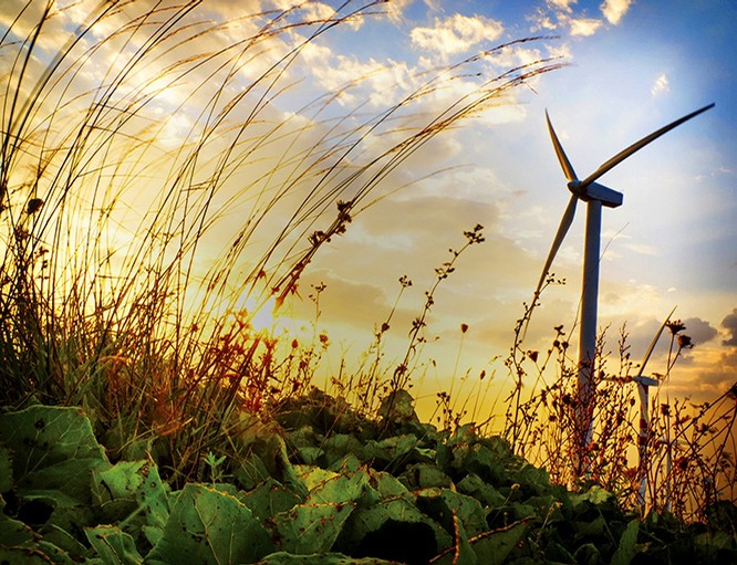 Canunda Wind Farm